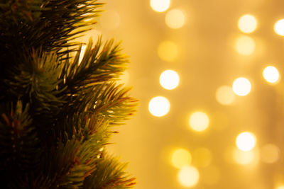 Defocused image of christmas tree
