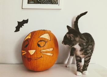 Jack o lantern on floor