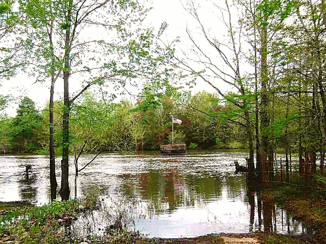 water, tree, tranquil scene, tranquility, scenics, tree trunk, nature, branch, beauty in nature, growth, travel destinations, green, sky, day, non-urban scene, tourism, vacations, green color, calm, remote, lakeside, countryside, majestic, no people, park