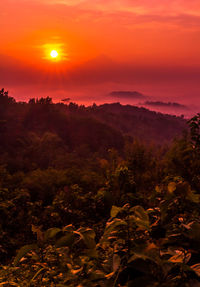 Scenic view of landscape against orange sky