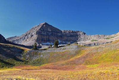 Timpanogos hiking trail landscape views in uinta wasatch cache national forest utah