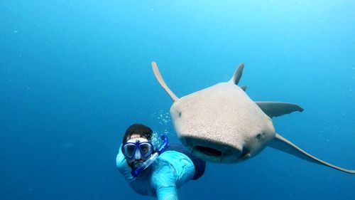 Shark following scuba diver under sea