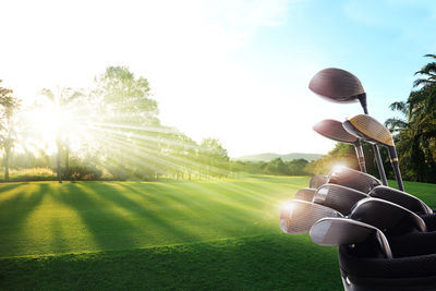 Sunlight falling on golf course against sky