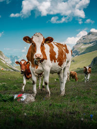 Herd of cows on field against sky