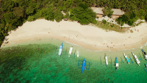 Tropical beach on island with palm trees, blue lagoon and azure clear water. helicopter island 