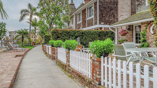 Footpath amidst trees and buildings in city