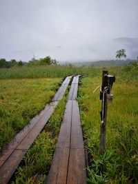 Walkway amidst field against sky