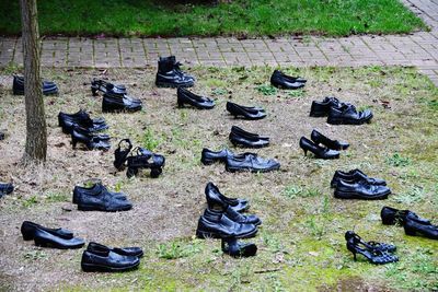 High angle view of shoes on field