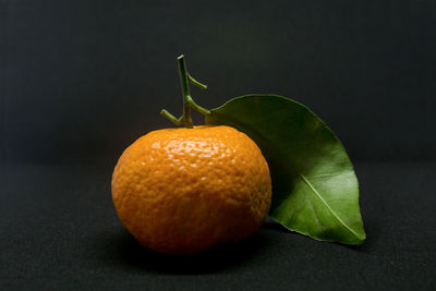 Close-up of orange fruit against black background