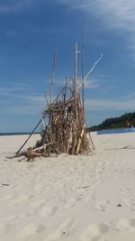 Dead tree on beach against sky