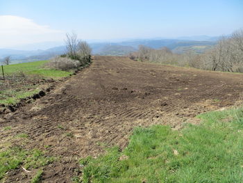 Dirt road amidst field against sky