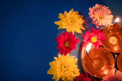 Close-up of yellow flowers against blue background