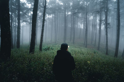 Rear view of man standing in forest against trees