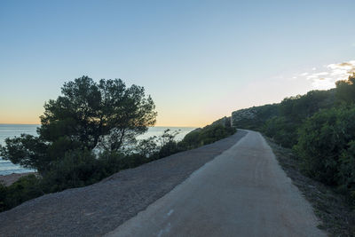 Road amidst trees against sky during sunset