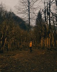 Man walking on land by trees in forest