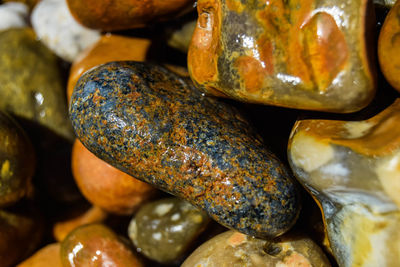 Close up of wet pebbles on a beach