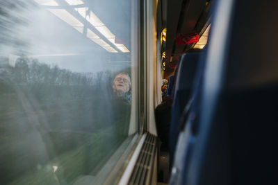 Trees seen through train window