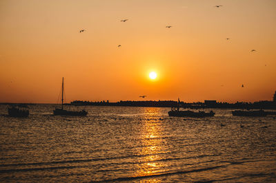 Silhouette birds flying over sea against orange sky