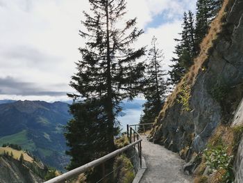 Footpath amidst trees and mountains against sky