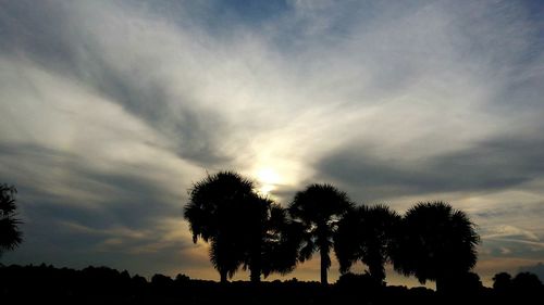 Silhouette of trees against cloudy sky