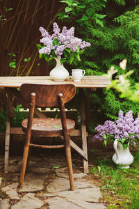 Potted plants on table in yard