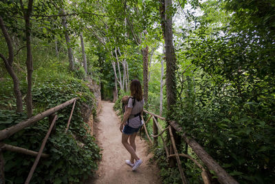 Rear view of woman walking in forest