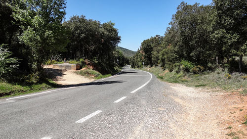 Empty road along trees