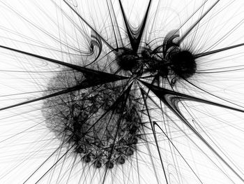 Close-up of dandelion on plant