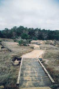 View of trees on landscape