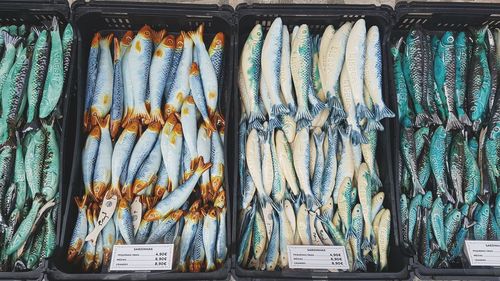 High angle view of fishes for sale at market