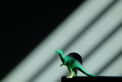 Close-up of a lizard on the wall