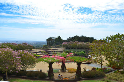 Plants growing in park