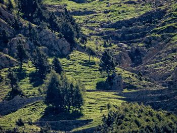 High angle view of valley