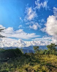 Scenic view of landscape against blue sky