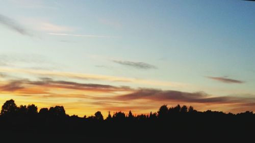 Silhouette of trees at sunset