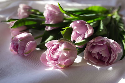 Close-up of roses on table