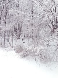 Full frame shot of white wall