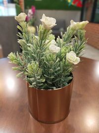 Close-up of potted plant on table