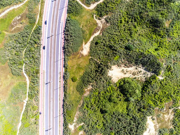 High angle view of road amidst trees