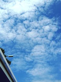 Low angle view of birds flying against sky