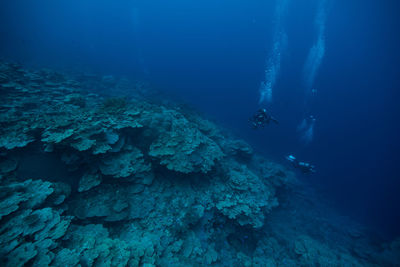 High angle view of scuba divers swimming in blue sea