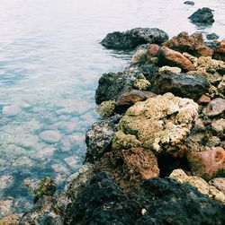 Rocks on shore