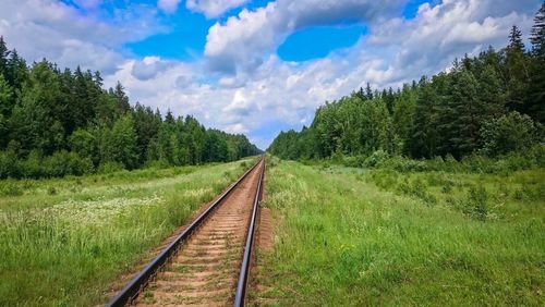 Railroad tracks amidst trees against sky