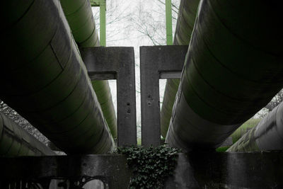 Close-up of plants by railing against sky