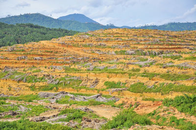 Scenic view of fields against mountain range