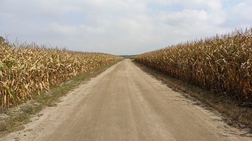 Empty road amidst agricultural field against sky