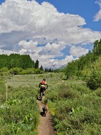 Dog running behind man cycling on field