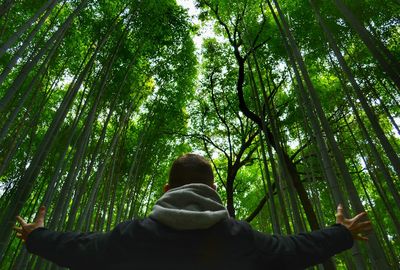 Rear view of man in forest