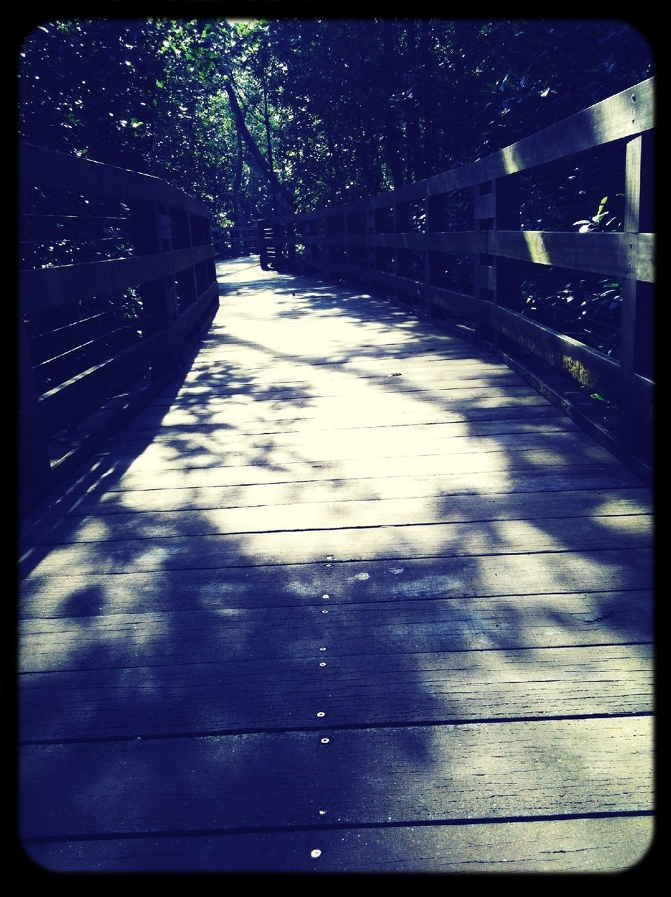 transfer print, auto post production filter, built structure, architecture, shadow, sunlight, bridge - man made structure, tree, the way forward, railing, footbridge, water, connection, outdoors, day, transportation, reflection, no people, street, city