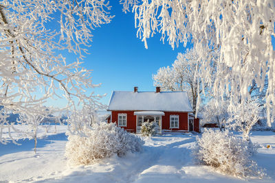 Red cottage in a beautiful cold winter landscape